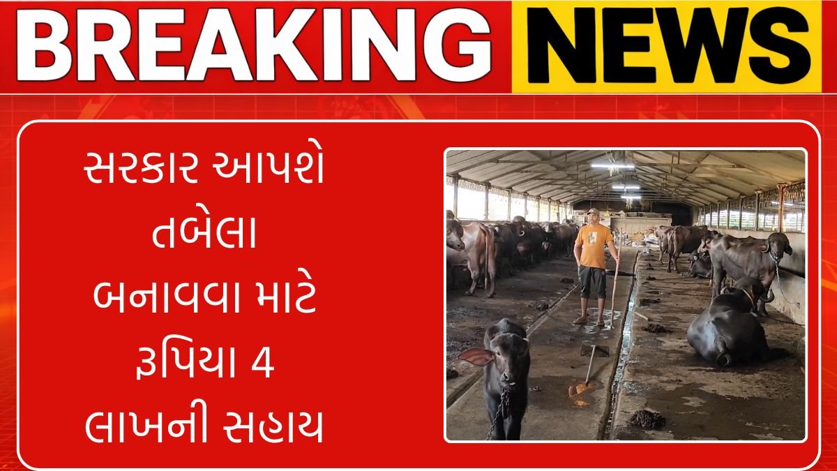 Tabela Loan Yojana Gujarat